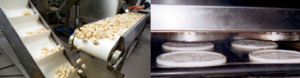 Food Conveyor Belt