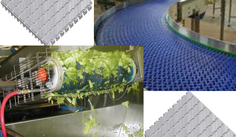 Plastic Modular Belts